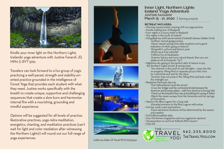 Iceland Yoga Justine Fanarof Retreat Adventure Northern Lights Travel Yogi Spring Break 2020